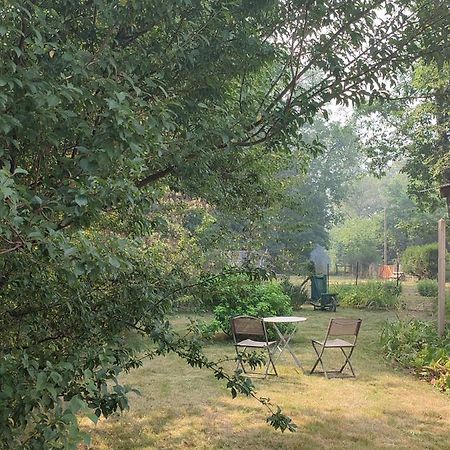 Chalet Dans La Foret....Adorable 1 Bedroom Chalet Surrounded By Woodland Pressignac المظهر الخارجي الصورة