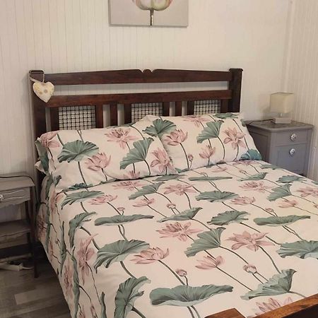 Chalet Dans La Foret....Adorable 1 Bedroom Chalet Surrounded By Woodland Pressignac المظهر الخارجي الصورة